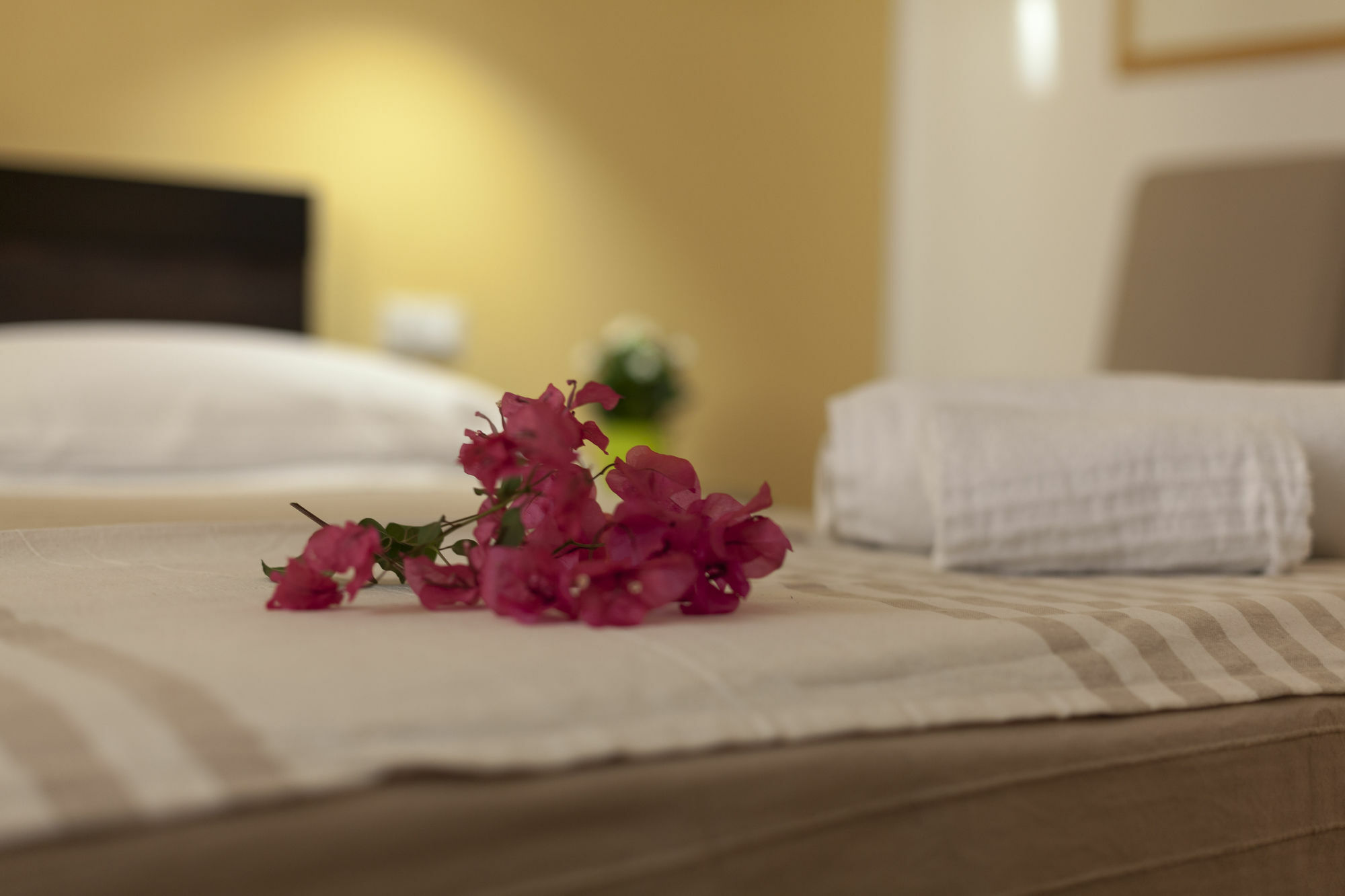Bed and Breakfast Piazza Marina Palermo Exterior foto